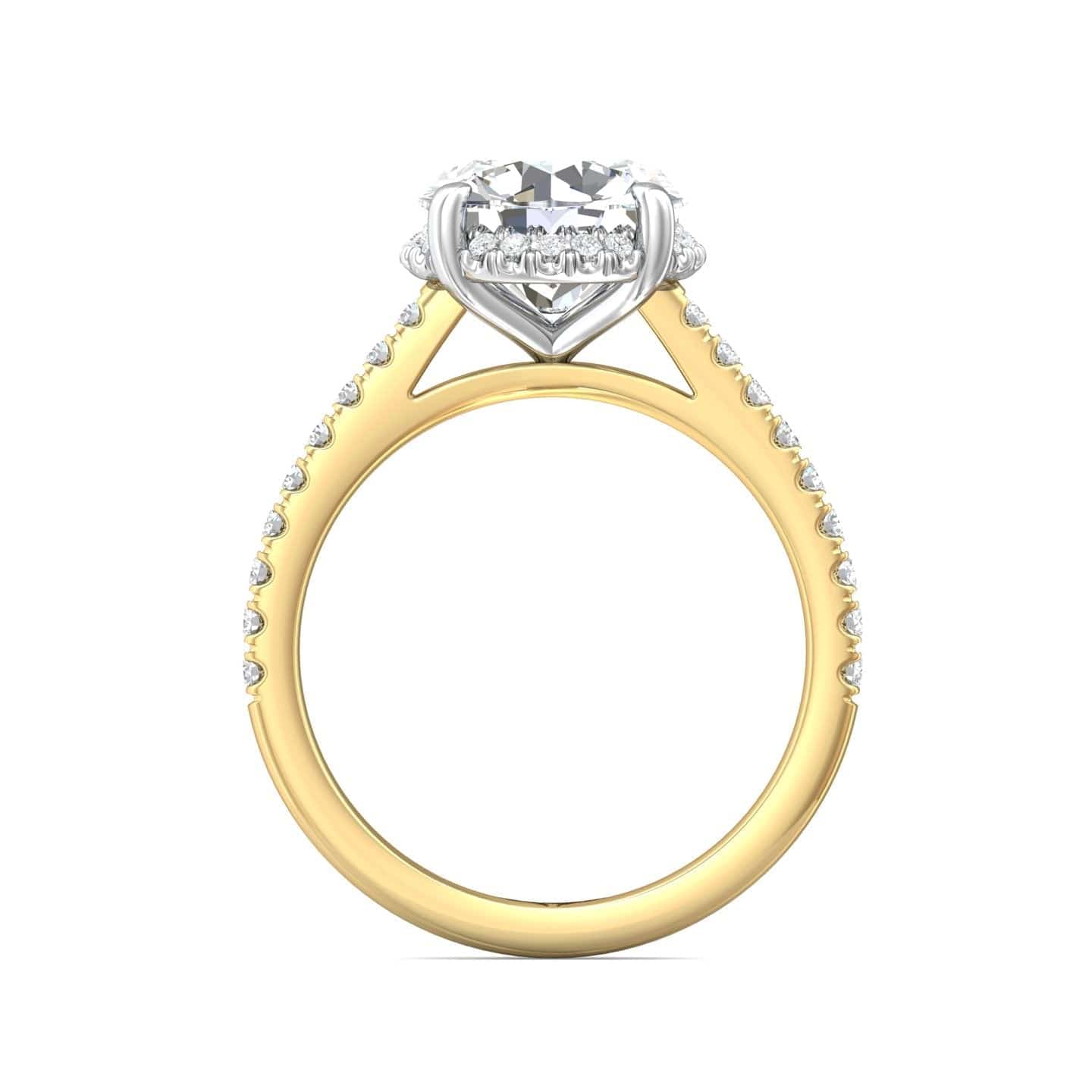 18K Yellow Gold Cathedral Mounting with 4 Prong 18K White Gold Head - Image 3