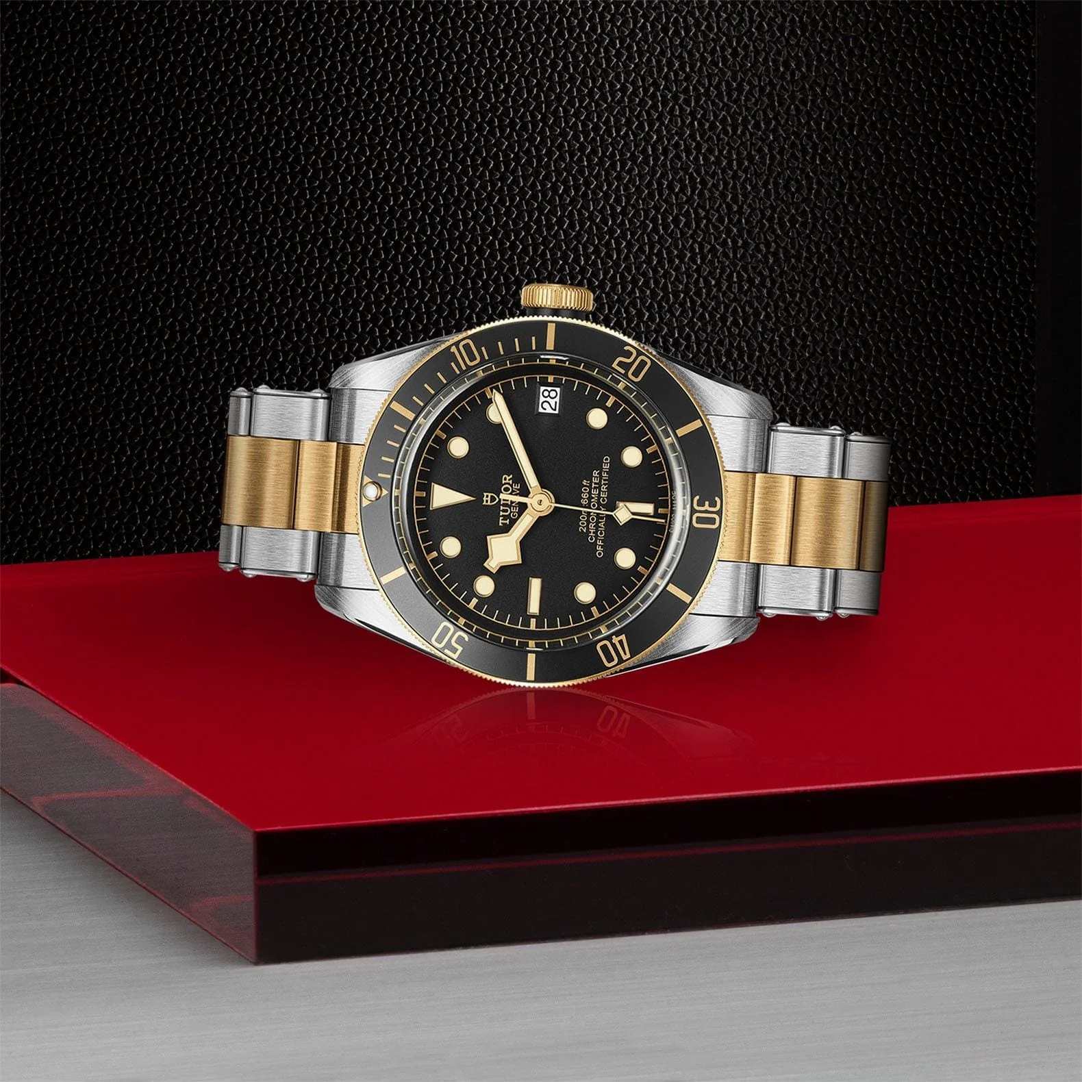 TUDOR Black Bay S&G 41 Steel & Gold M79733N-0008 - Image 3