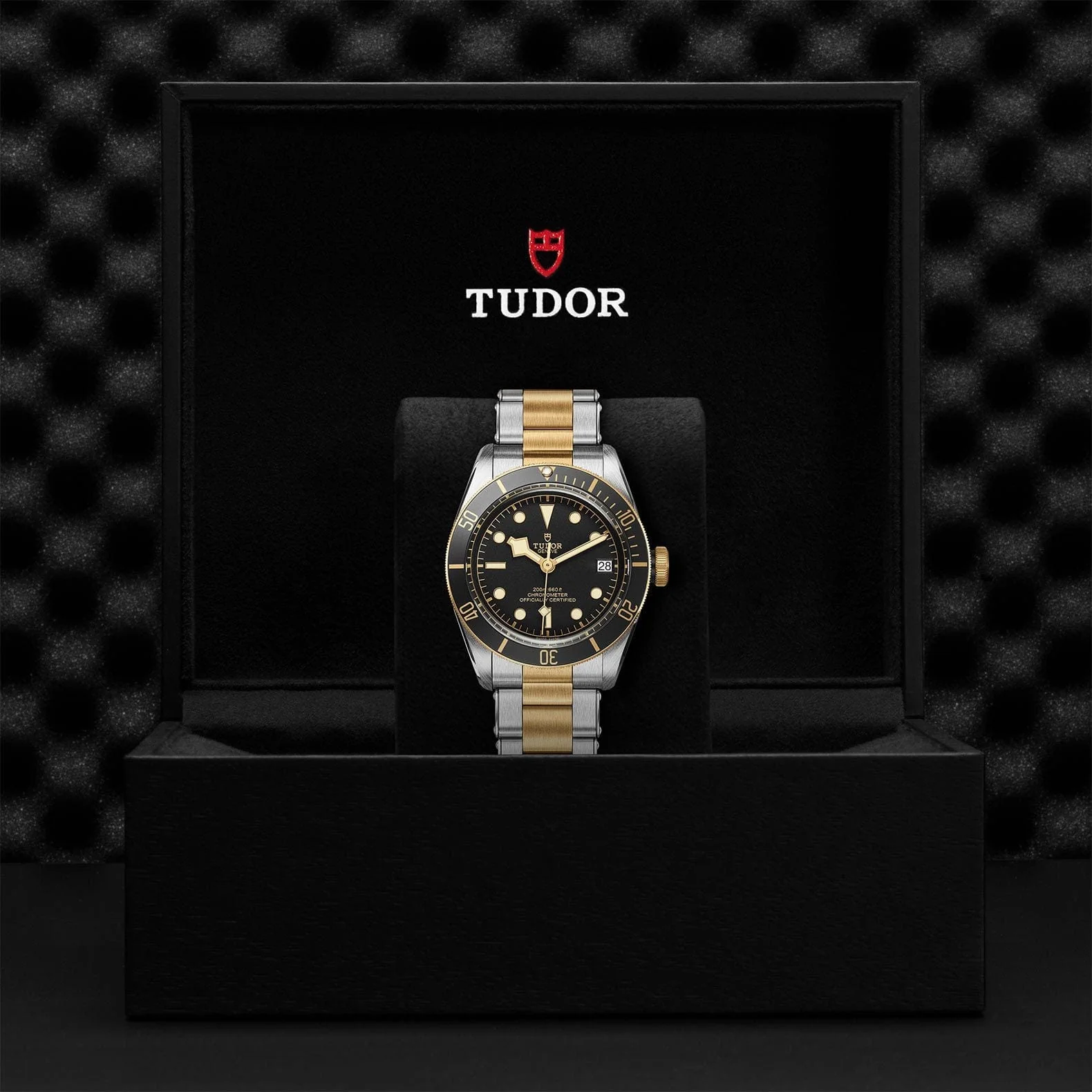 TUDOR Black Bay S&G 41 Steel & Gold M79733N-0008 - Image 4