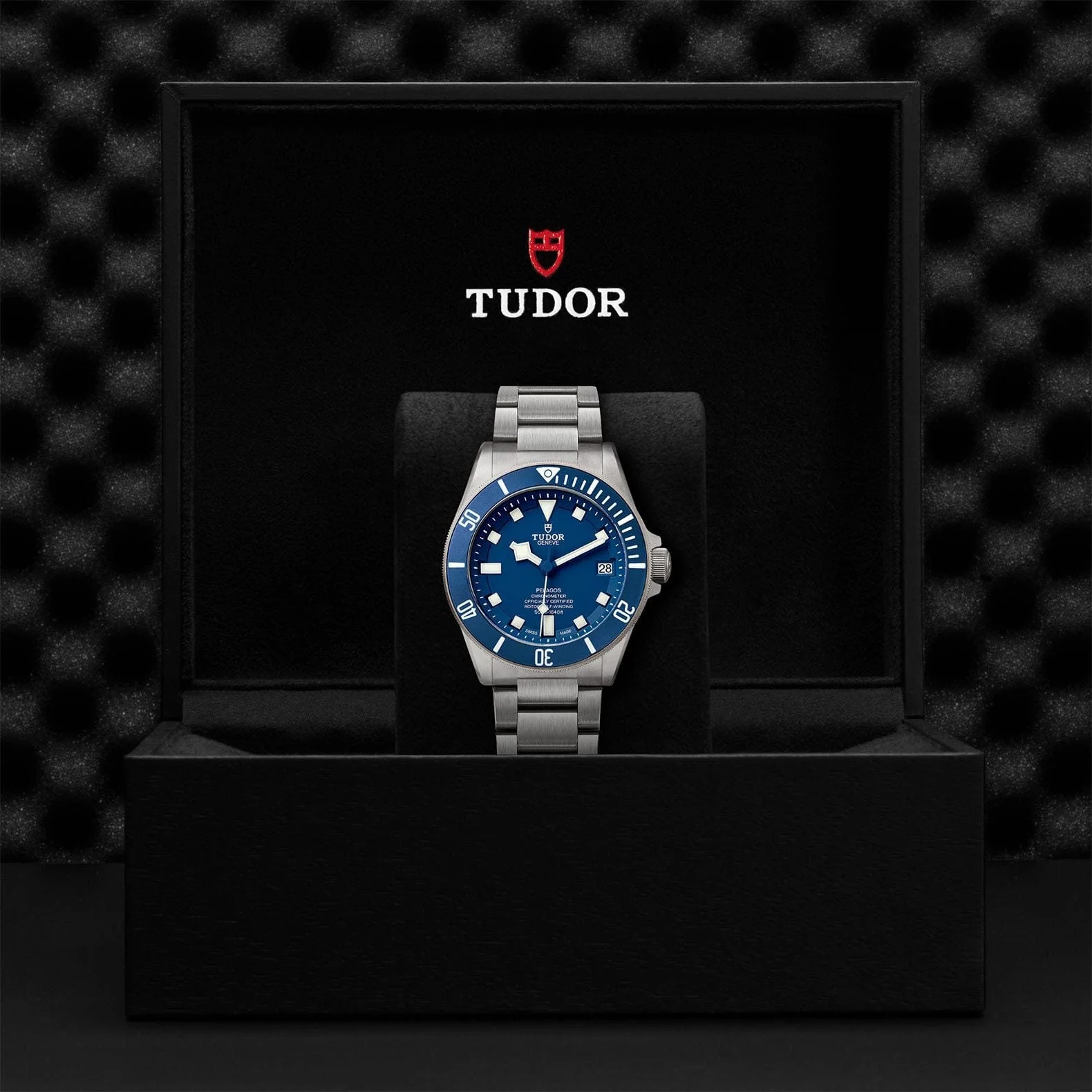 TUDOR Pelagos 42 Titanium & Steel M25600TB-0001 - Image 4