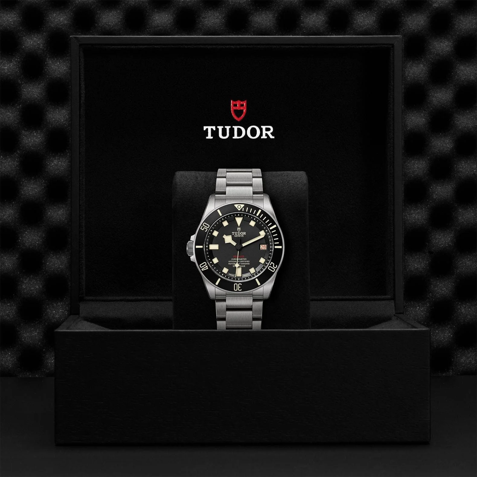 TUDOR Pelagos 42 Titanium & Steel M25610TNL-0001 - Image 4